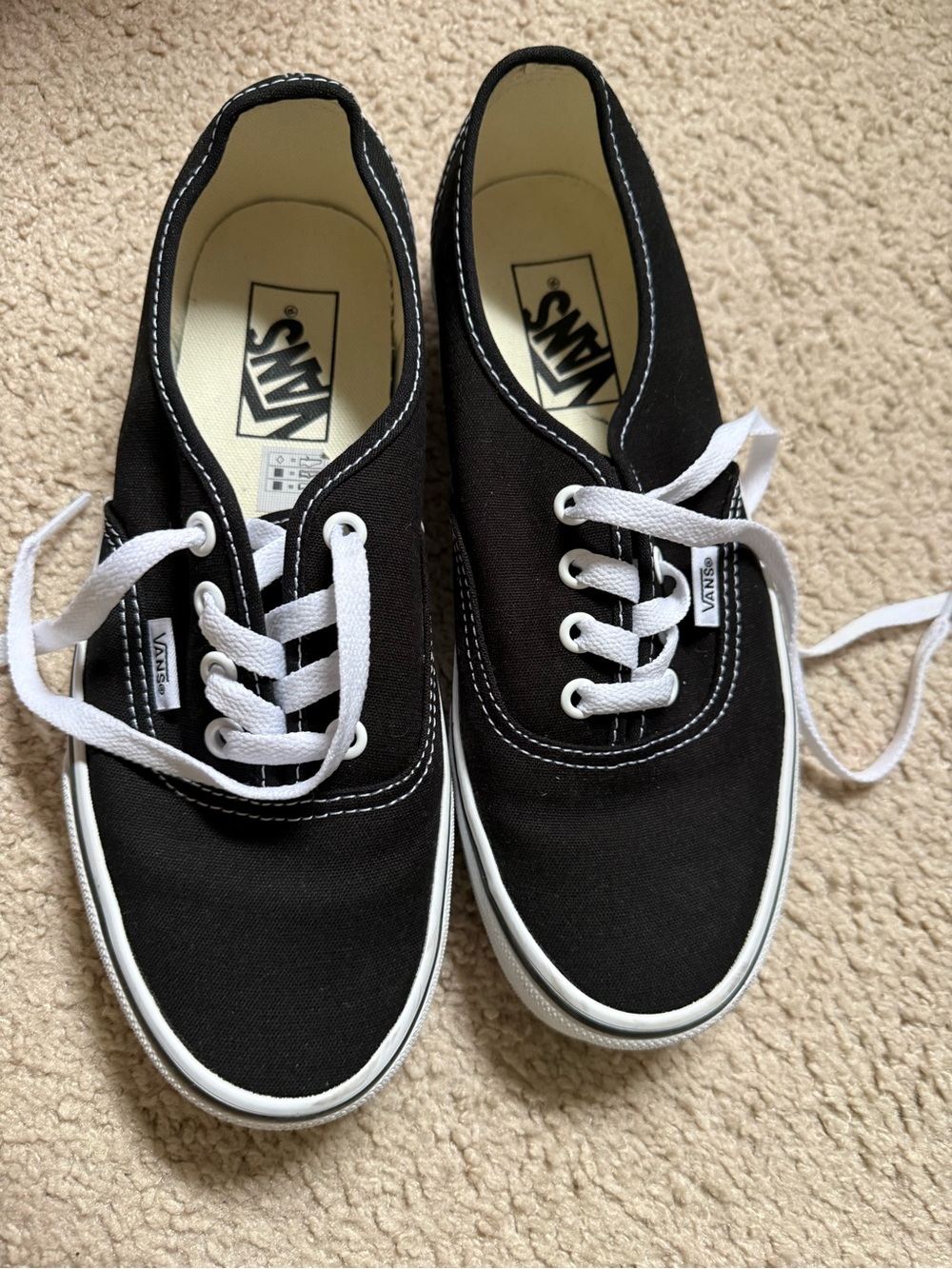 Vans Black Canvas Low-Top Sneakers with White Laces